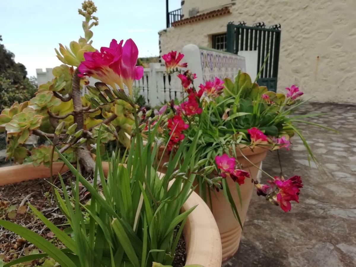 Grosse Finca 19Jh, Pool, Terrasse, Nahe Santa Cruz Santa Cruz de la Palma  Εξωτερικό φωτογραφία
