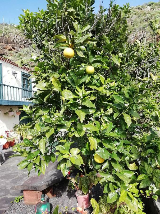 Grosse Finca 19Jh, Pool, Terrasse, Nahe Santa Cruz Santa Cruz de la Palma  Εξωτερικό φωτογραφία