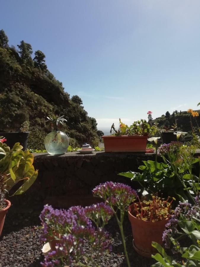 Grosse Finca 19Jh, Pool, Terrasse, Nahe Santa Cruz Santa Cruz de la Palma  Εξωτερικό φωτογραφία